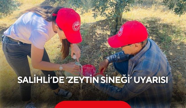Salihli’de ‘zeytin sineği’ uyarısı