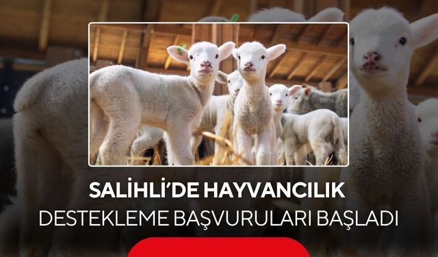 Salihli’de hayvancılık desteği başladı! Son başvuru 1 Aralık