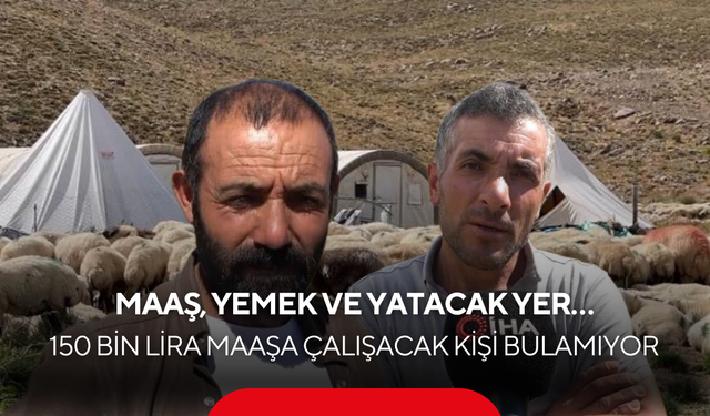 Dolgun maaş ve yeme-içme dahil ama başvurusu yok! Sektörde dev çıkmaz