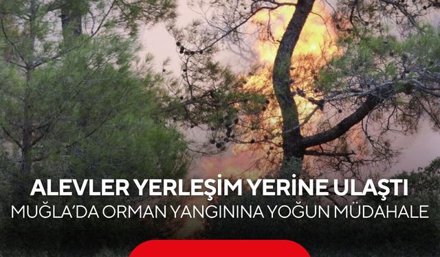 Muğla’da korkutan orman yangını! Alevler yerleşim yerine ulaştı, karayolu kapatıldı