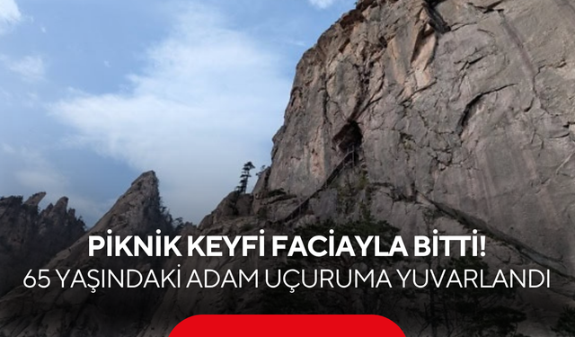 Piknik keyfi faciayla bitti! 65 yaşındaki adam uçuruma yuvarlandı