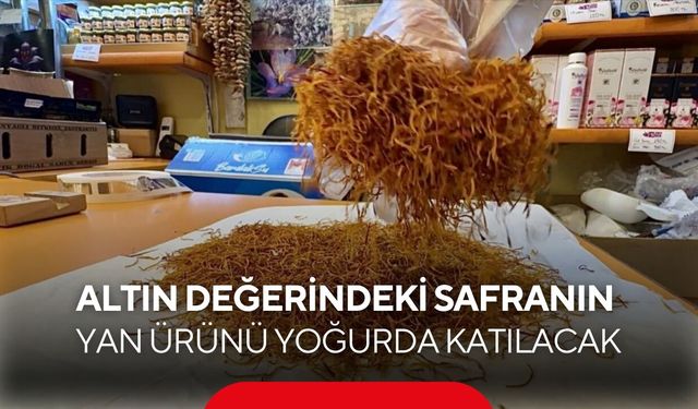 Safranın yan ürünü çöpe gitmeyecek! Bu kez yoğurdu zenginleştirecek
