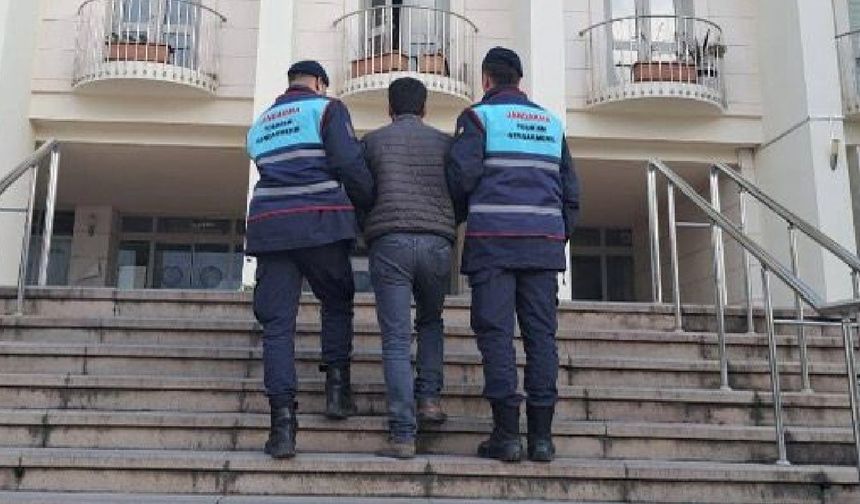 Jandarma ekiplerince yakalandılar