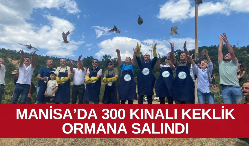 3 yıl boyunca av yasağı uygulanacak ! 300 kınalı keklik doğaya bırakıldı