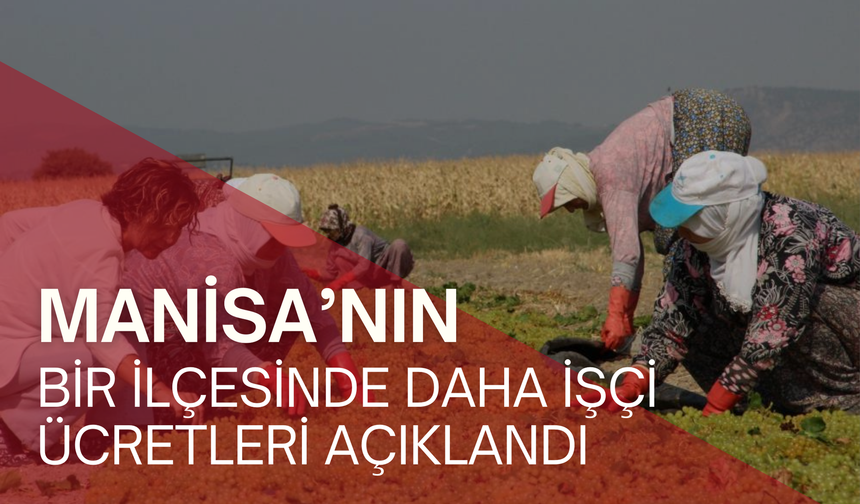 Manisa’nın bir ilçesinde daha işçi ücretleri açıklandı | Üzüm hasadı öncesi işçi ücretleri belli oldu