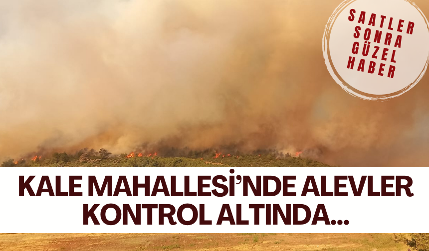 Kale Mahallesi’nde alevler kontrol altında…