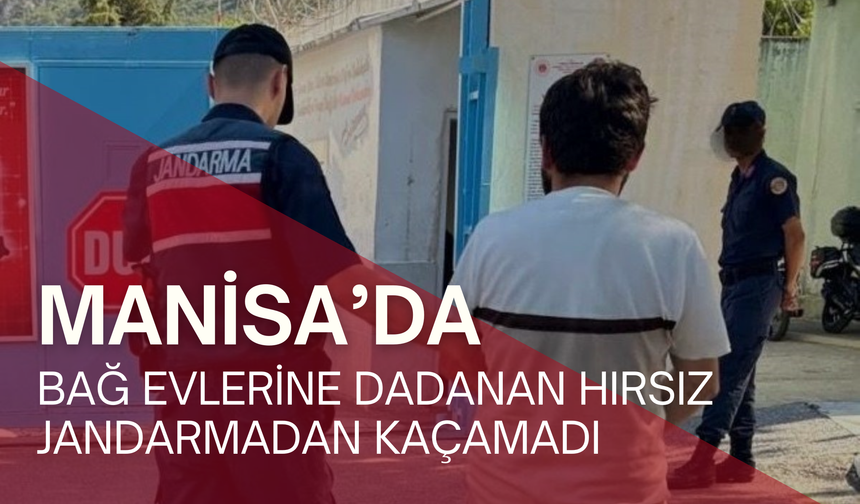 Manisa'da bağ evlerine dadanan hırsız jandarmadan kaçamadı