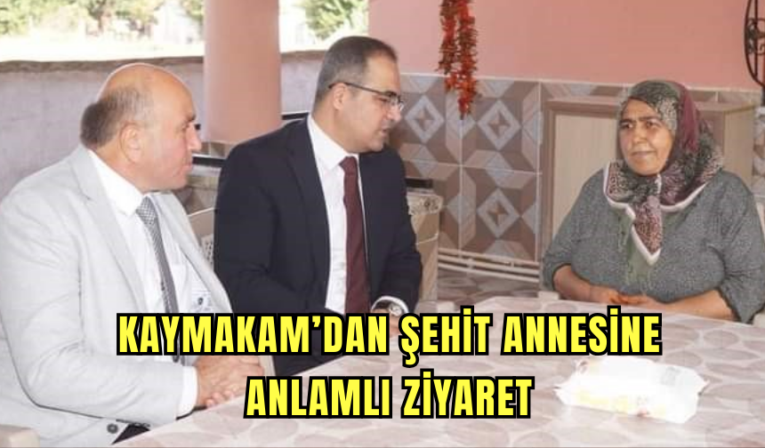 Kaymakam’dan şehit annesine anlamlı ziyaret