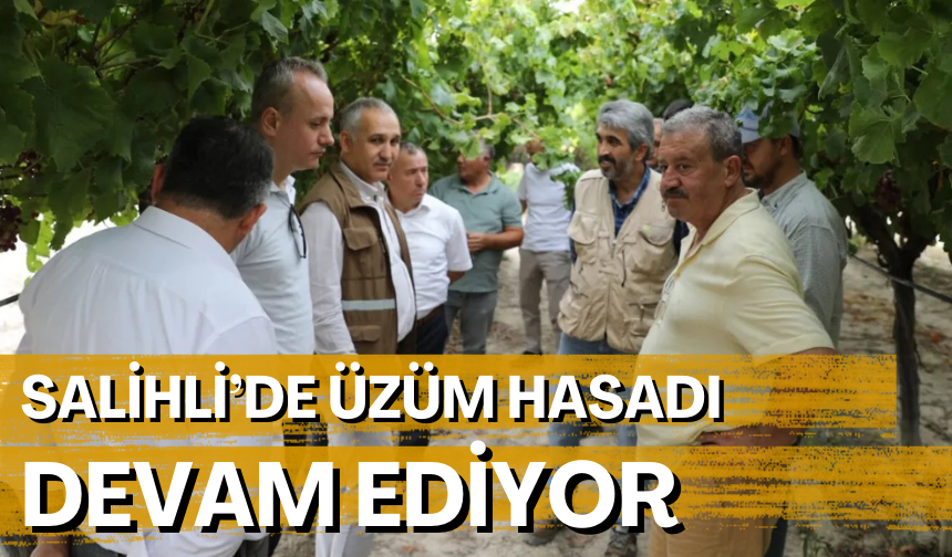 Salihli’de üzüm hasadı devam ediyor