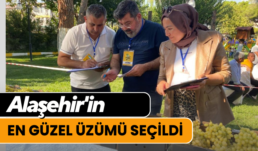 Alaşehir'in en güzel üzümü seçildi