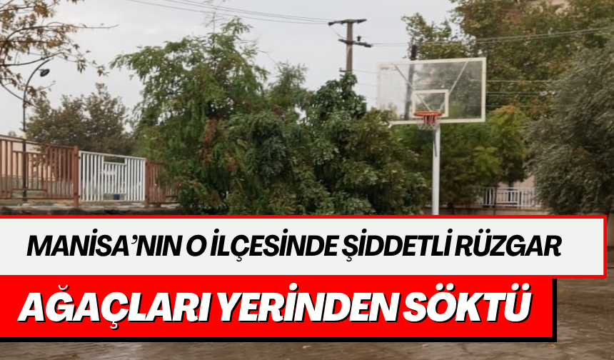 Manisa’nın o ilçesinde şiddetli rüzgar ağaçları yerinden söktü