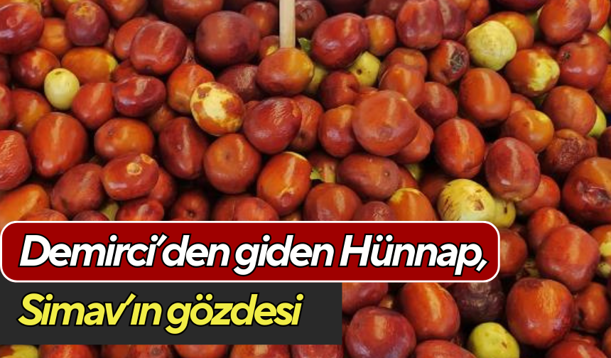 Demirci’den giden Hünnap, Simav’ın gözdesi