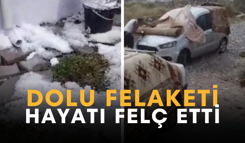 Yumurta büyüklüğünde yağdı | Dolu felaketi hayatı felç etti... Evler, tarlalar ve sebzelerde büyük zarar!