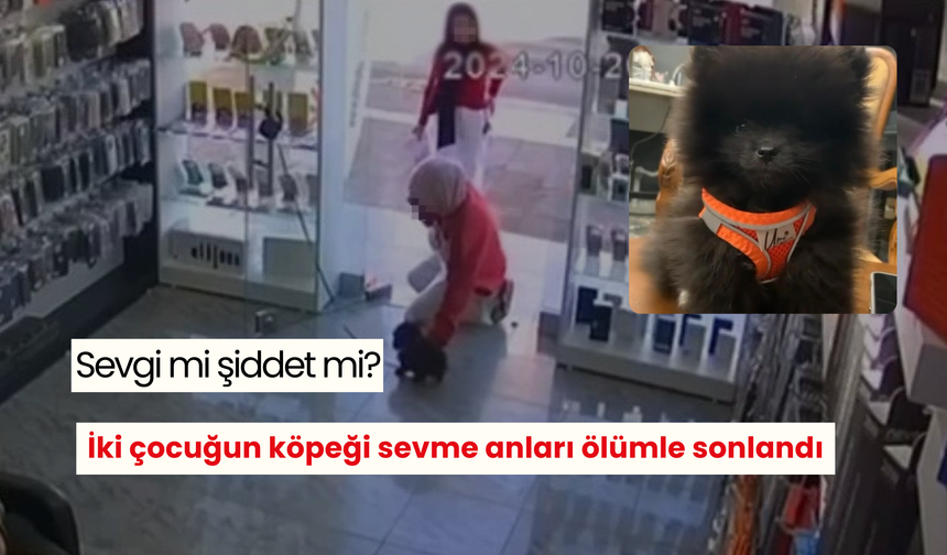 İki çocuğun severken ölümüne neden oldukları iddia edilen köpeğe otopsi yapılacak