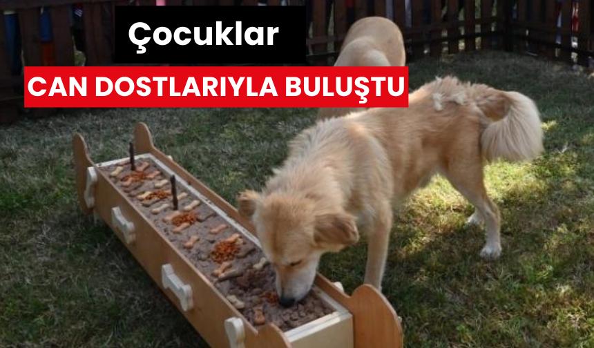 Manisalı çocuklar can dostlarıyla buluştu