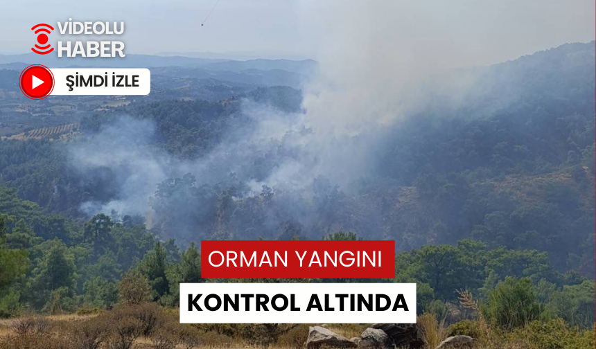 Gördes’teki orman yangını kontrol altına alındı