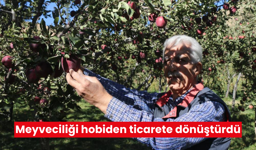 Meyveciliği hobiden ticarete dönüştürdü