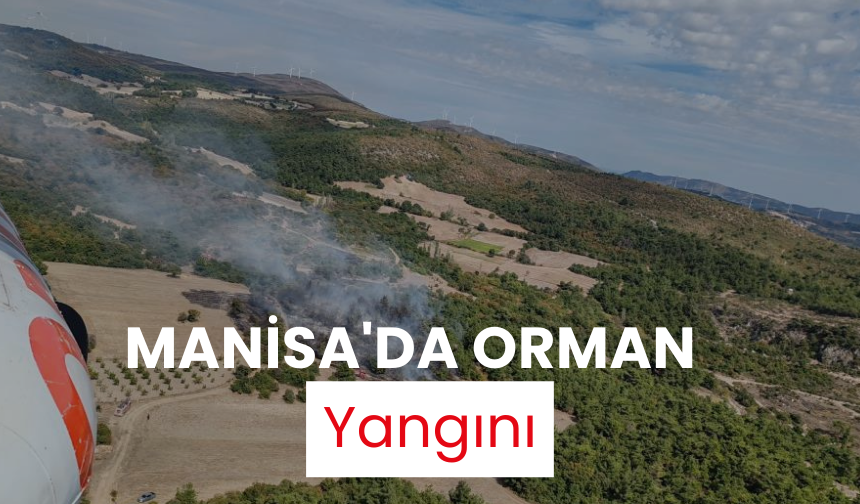 Manisa'da orman yangını