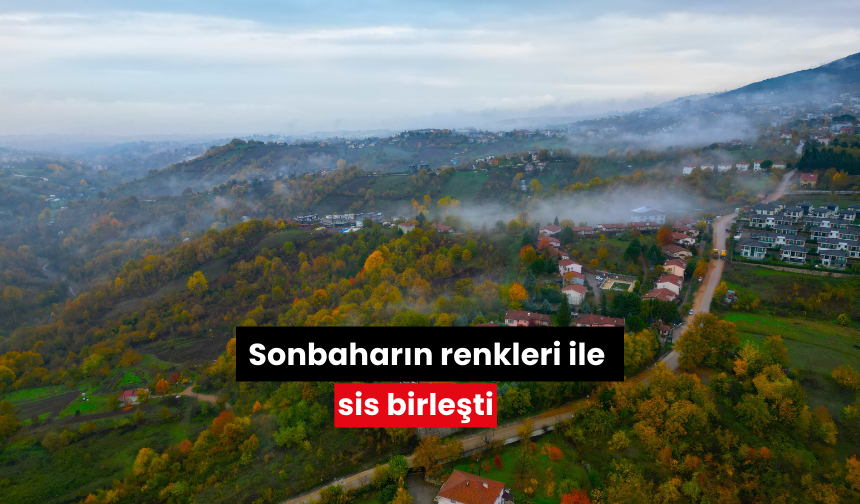 Sonbaharın renkleri ile sis birleşti