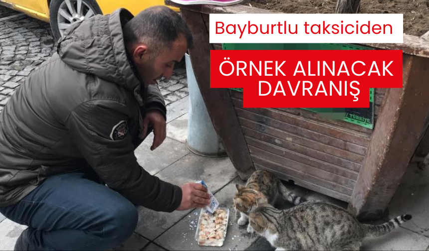 Bayburtlu taksiciden örnek alınacak davranış