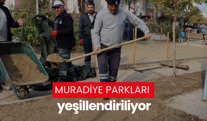 Muradiye parkları yeşillendiriliyor