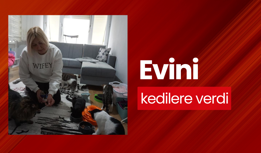 Evini kedilere verdi