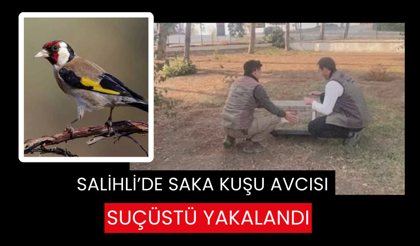 Salihli’de saka kuşu avcısı suçüstü yakalandı