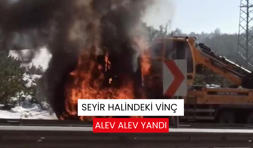 Seyir halindeki vinç alev alev yandı