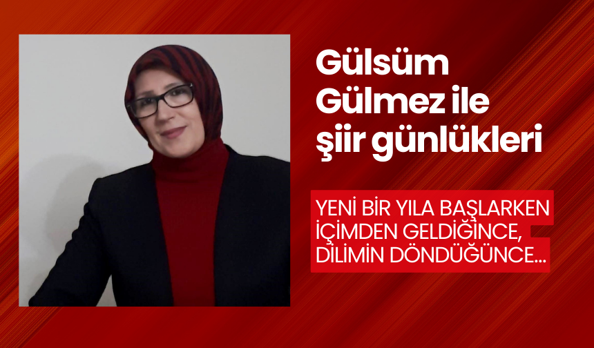 Yeni Bir Yıla Başlarken İçimden Geldiğince, Dilimin Döndüğünce…