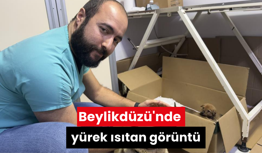 Beylikdüzü'nde yürek ısıtan görüntü