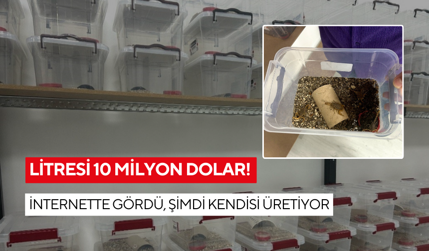 Litresi 10 milyon dolar! İnternette gördü, şimdi kendisi üretiyor