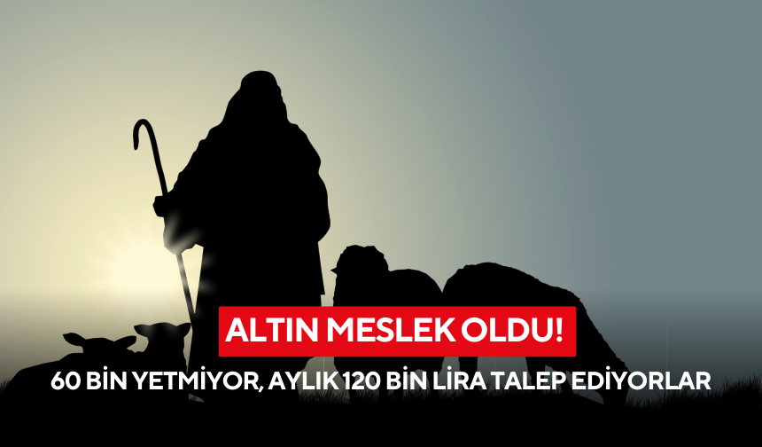 Altın meslek oldu! 60 bin yetmiyor, aylık 120 bin lira talep ediyorlar