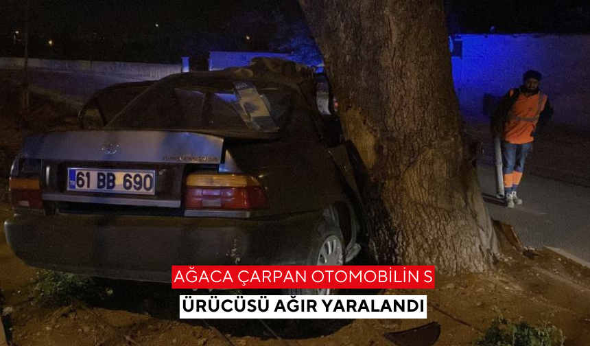 Ağaca çarpan otomobilin sürücüsü ağır yaralandı