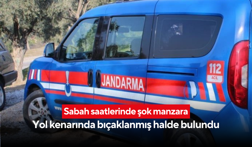 Sabah saatlerinde şok manzara: Yol kenarında bıçaklanmış halde bulundu