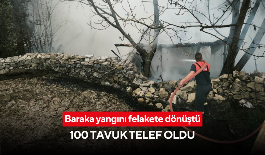 Baraka yangını felakete dönüştü: 100 tavuk telef oldu