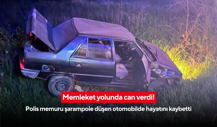 Memleket yolunda can verdi! Polis memuru şarampole düşen otomobilde hayatını kaybetti
