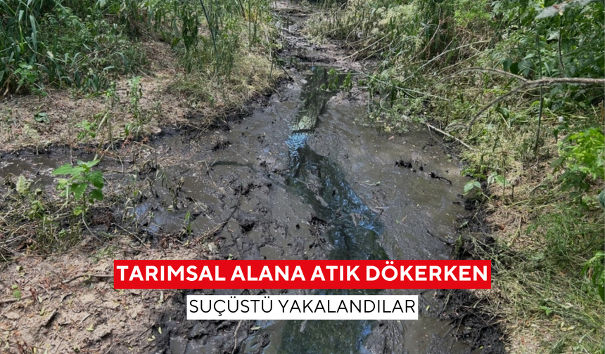 Gediz Nehri’ni kirletenlere suçüstü