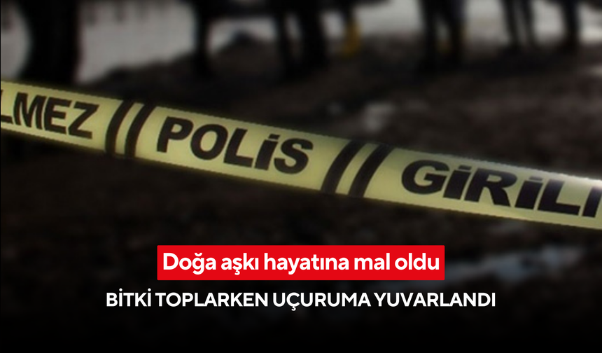 Doğa aşkı hayatına mal oldu: Bitki toplarken uçuruma yuvarlandı