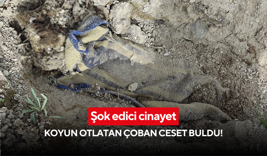 Yabani hayvanlar parçalamış! Tabanca ile vurulup gömülen ceset, çoban tarafından bulundu!