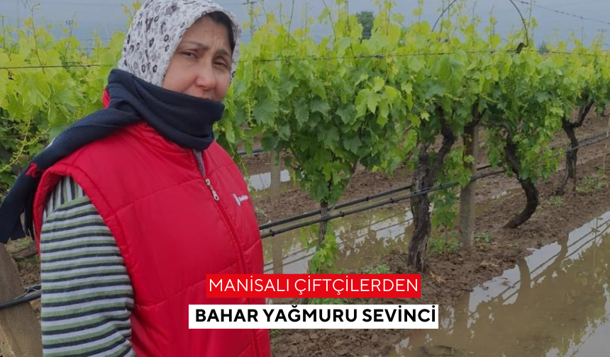Manisalı çiftçilerden Bahar yağmuru sevinci