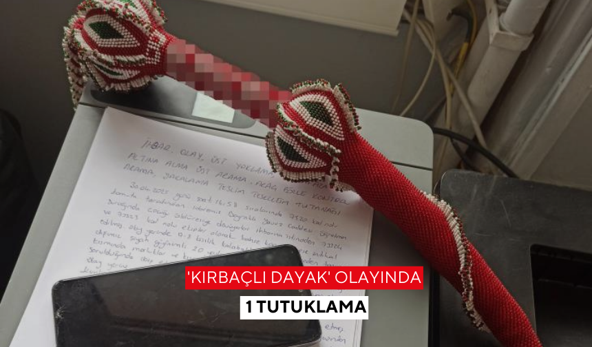 'Kırbaçlı dayak' olayında 1 tutuklama