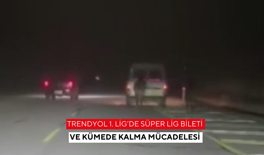 Atları kamyonetin arkasına bağlayıp koşturdu