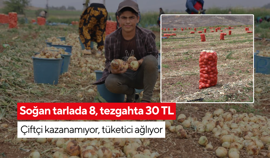 Üretiyor ama kazanamıyor! Çiftçi dertli, soğan dolu | Çiftçi 8 TL’ye satıyor, vatandaş 30 TL’ye alıyor...