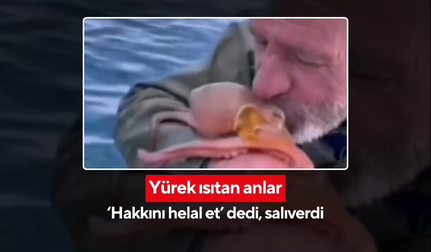 Balıkçıdan ahtapota sevgi dolu veda! 'Hakkını helal et' dedi, salıverdi...