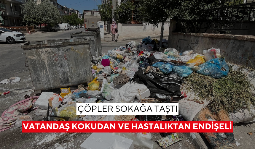 Çöpler sokağa taştı: Vatandaş kokudan ve hastalıktan endişeli