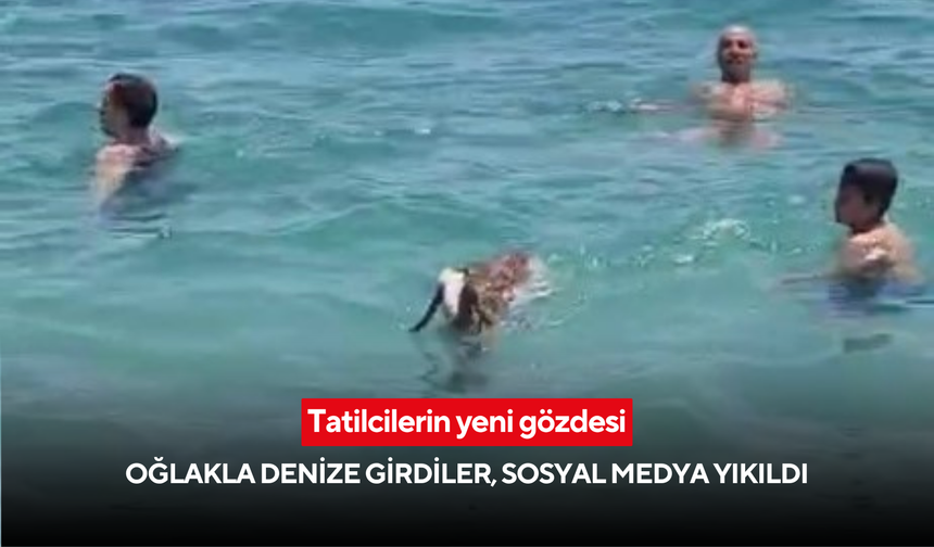 Tatilcilerin yeni gözdesi: Oğlakla denize girdiler, sosyal medya yıkıldı