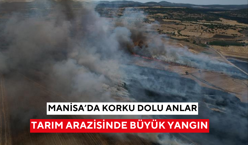 Manisa'da tarım arazisinde büyük yangın