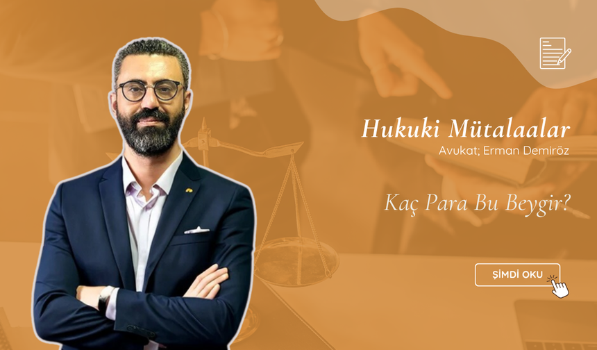 Kaç Para Bu Beygir?