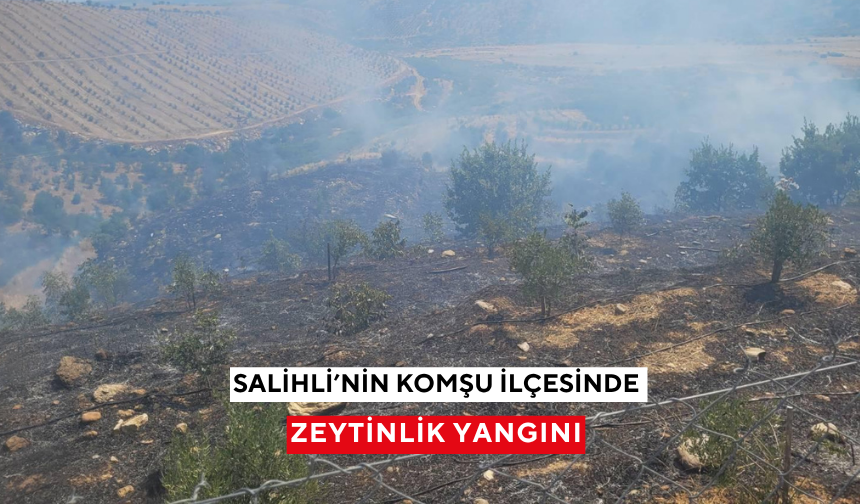 Salihli’nin komşu ilçesinde zeytinlik yangını: Havadan ve karadan müdahaleyle söndürüldü