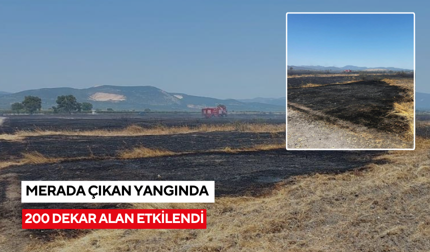 Manisa'da merada çıkan yangında 200 dekar alan etkilendi